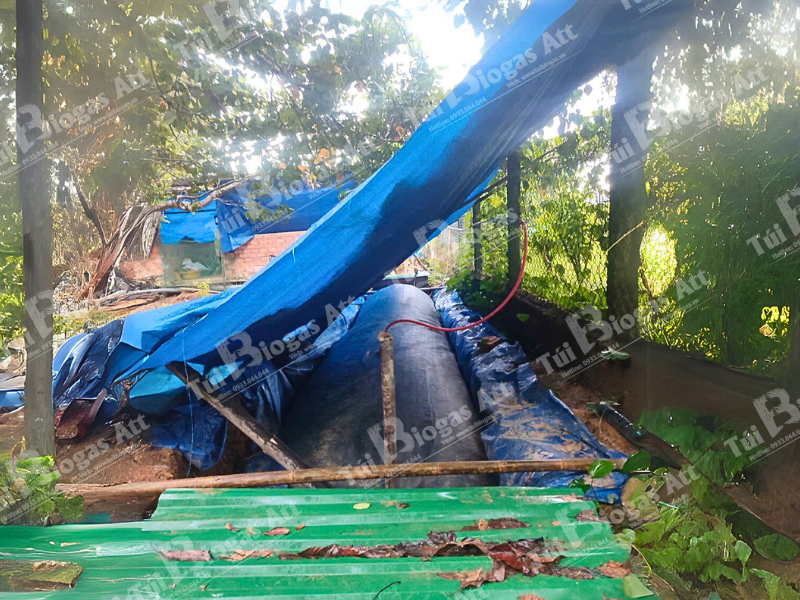 cách làm túi biogas 50 heo