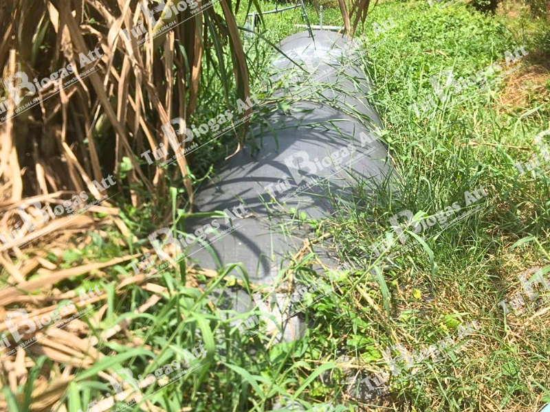 cách làm túi biogas tại nhà