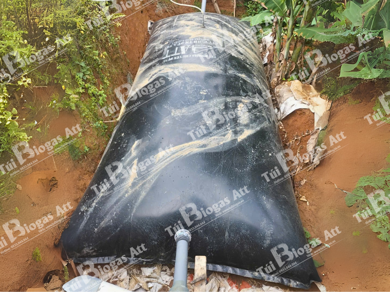 cách làm túi biogas thả nổi trên ao