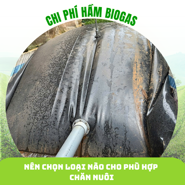 Chi phí làm hầm biogas trong chăn nuôi Nên chọn loại nào cho phù hợp