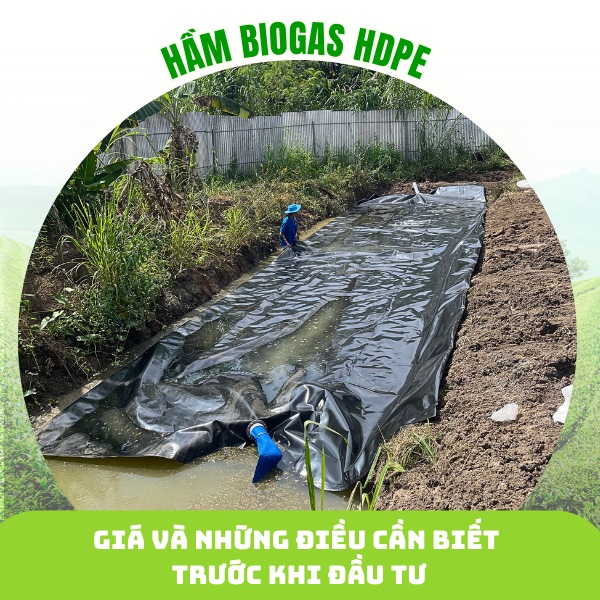 Giá hầm biogas HDPE và những điều cần biết trước khi đầu tư