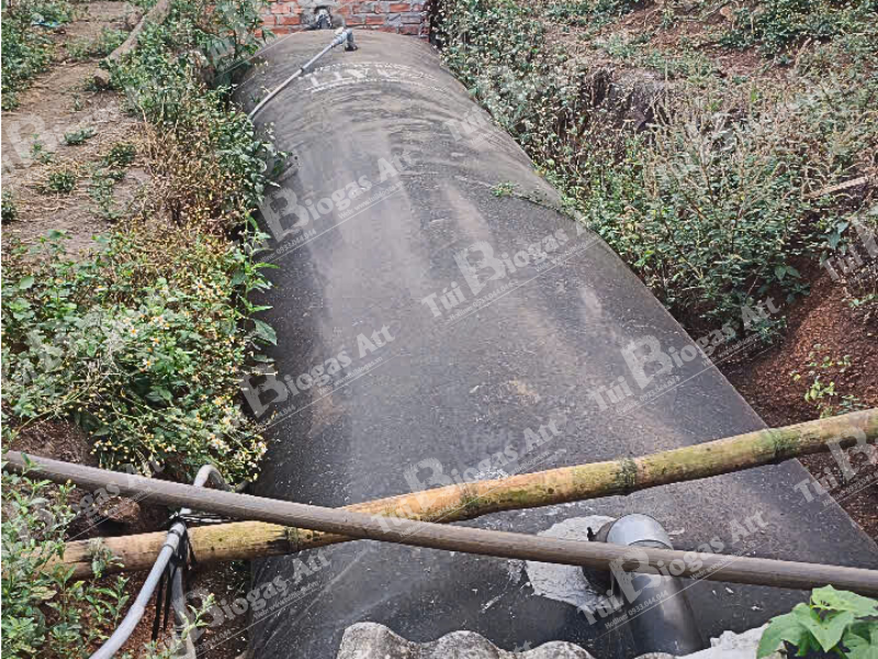Túi biogas đồng nai 8 khối