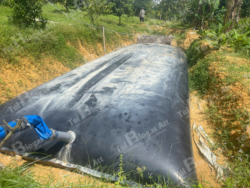 chi phí hầm biogas cho 50 – 100 con heo