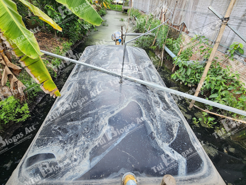 chi phí làm hầm biogas cho 300 con heo