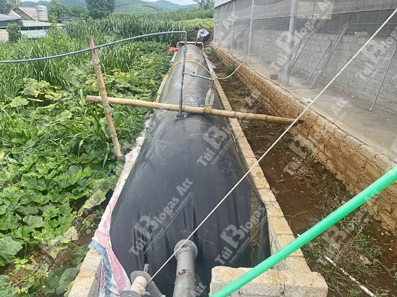 hầm biogas trang trại giá bao nhiêu