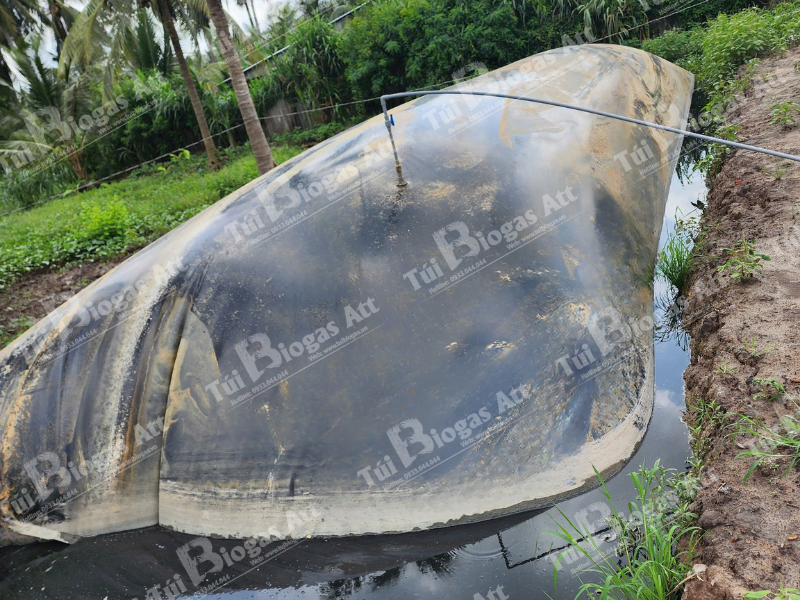 mua túi biogas 100 khối
