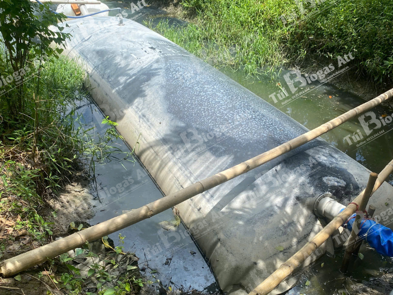mua túi biogas 20 khối