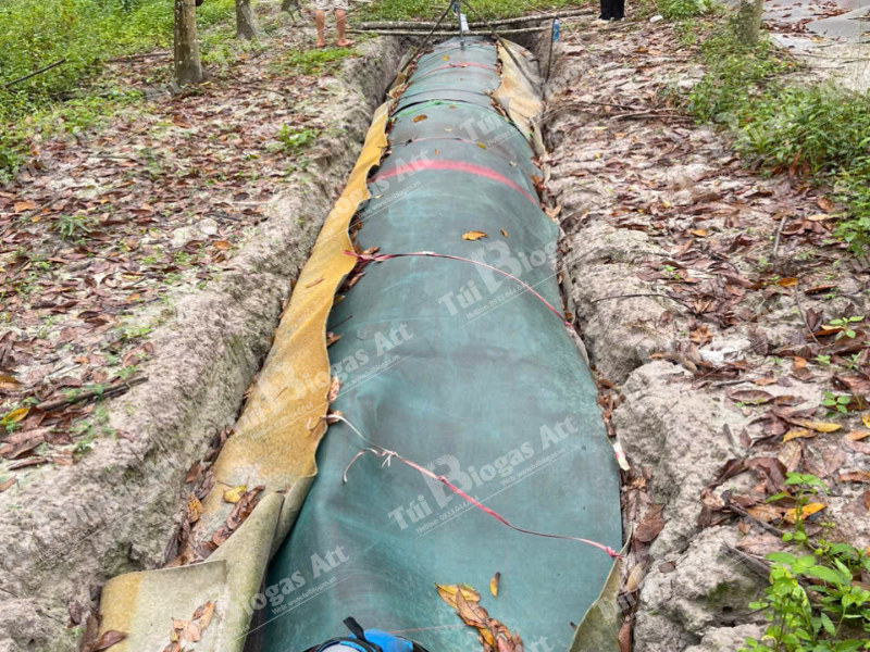 túi biogas chuyên dụng giá 8 khối