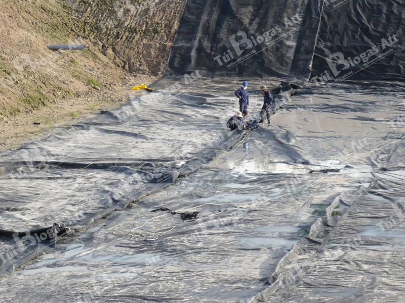 túi biogas chuyên dụng quy mô lớn