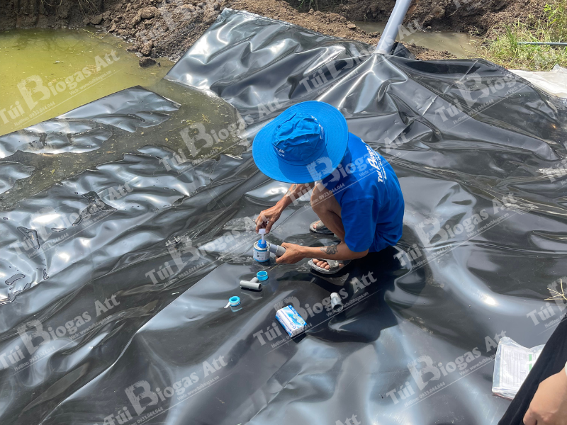 túi biogas đồng nai 100 heo