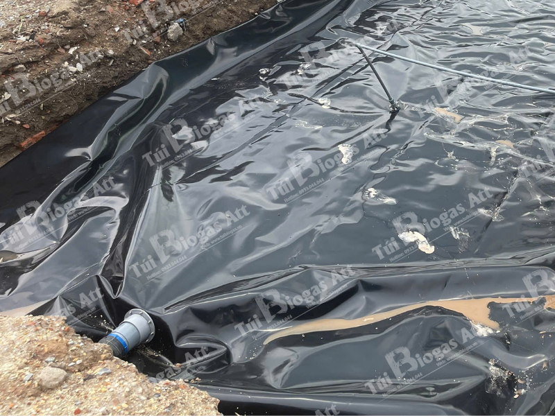 túi biogas siêu to cho 100 heo