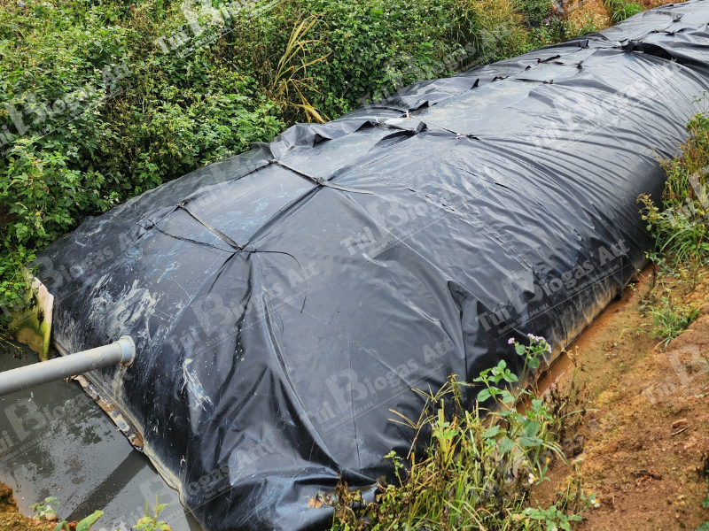 túi biogas siêu to giá rẻ