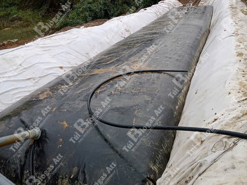 xử lý chất thải chăn nuôi bằng hầm biogas