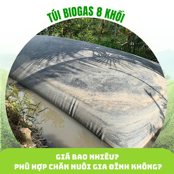 Túi biogas 8 khối là gì Giá bao nhiêu Phù hợp chăn nuôi gia đình không