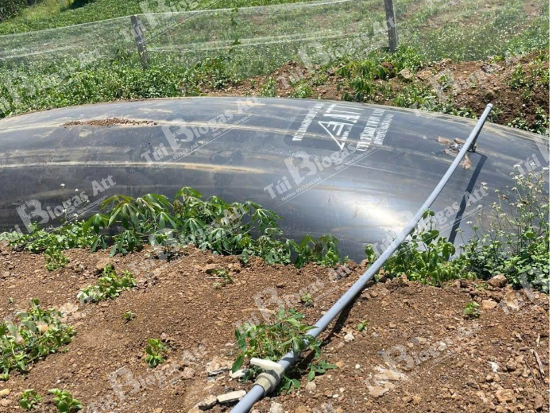 cách làm mô hình biogas 8 khối