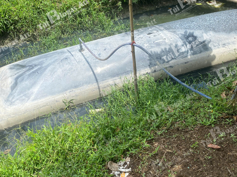 lắp túi biogas 10 khối có khó không