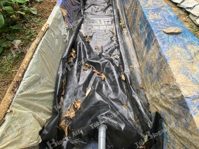 lắp túi biogas cho hộ nuôi 20–30 con heo tại nhà
