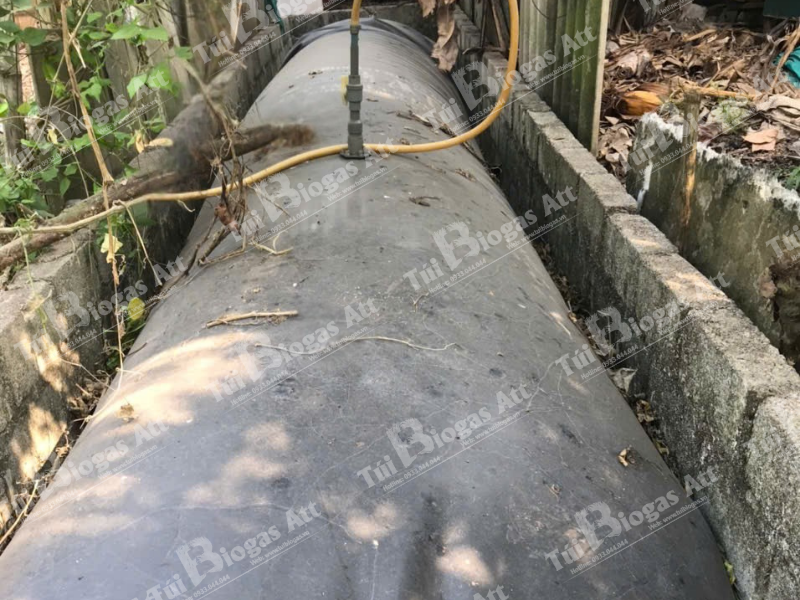 lắp túi biogas kích thước 10 khối xong dùng ra sao