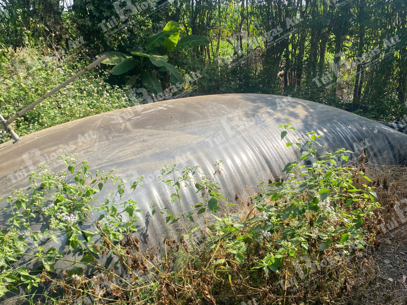 mo-hinh-tui-u-biogas-thuc-te