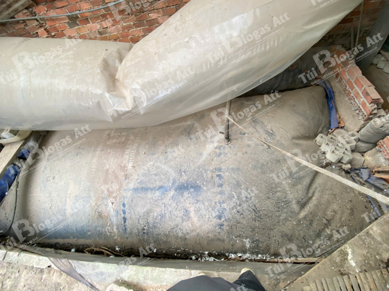 tui-biogas-20-khoi-cho-quy-mo-nuoi-bo