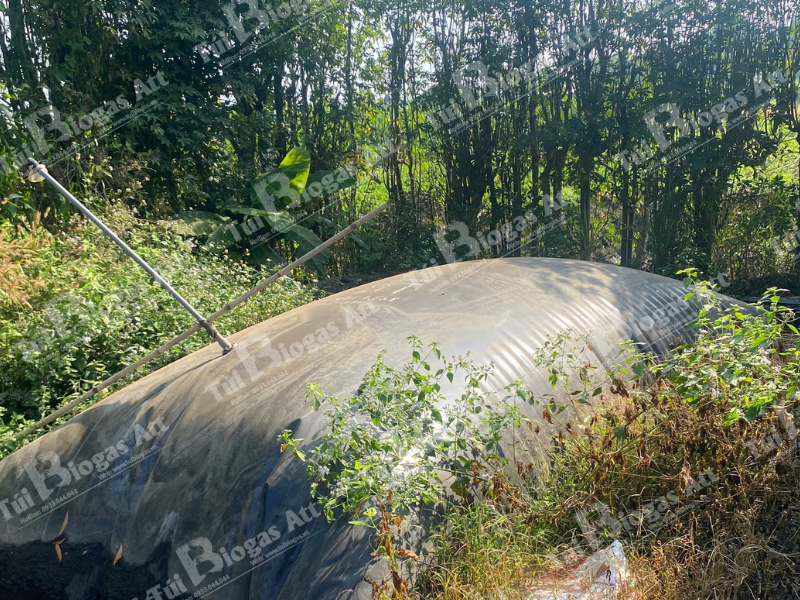 tui-biogas-30-khoi-khach-hang-gui