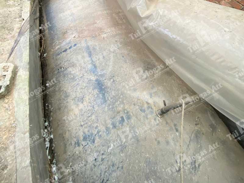 tui-biogas-hdpe-tai-dong-nai-nuoi-bo