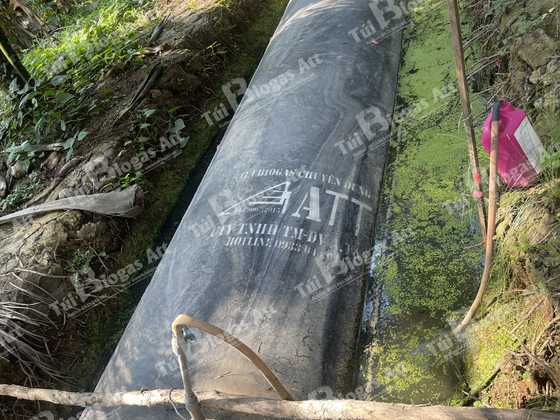 mo-hinh-biogas-xuong-san-xuat-tuong-ben-tre