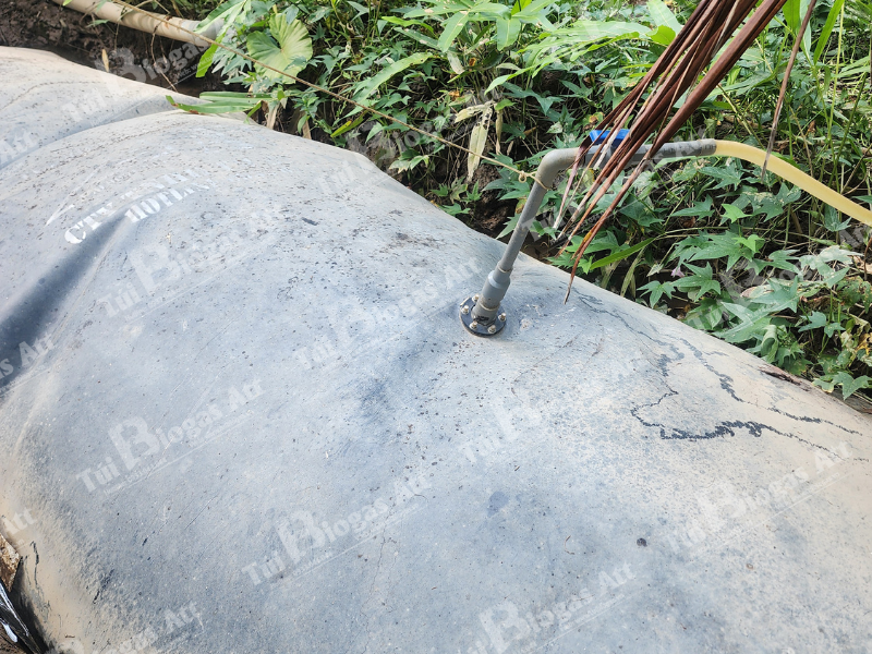 tui-biogas-ho-gia-dinh-van-hanh-on-dinh