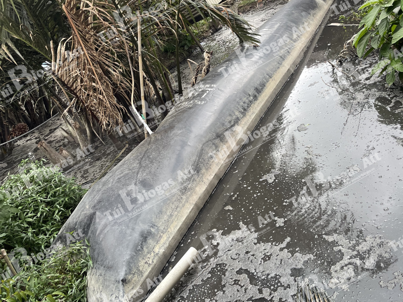 tui-biogas-hdpe-10-khoi