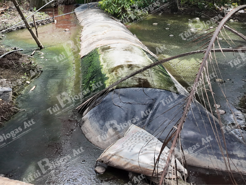 tui-biogas-hdpe-10-khoi-sau-2-nam